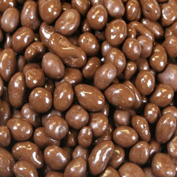 Chocolate Raisin